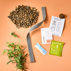 Passive Hydroponic Replant Kit
