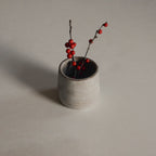 Versatile Sand Ceramic Cup