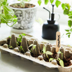 Seed Collection + Accessories