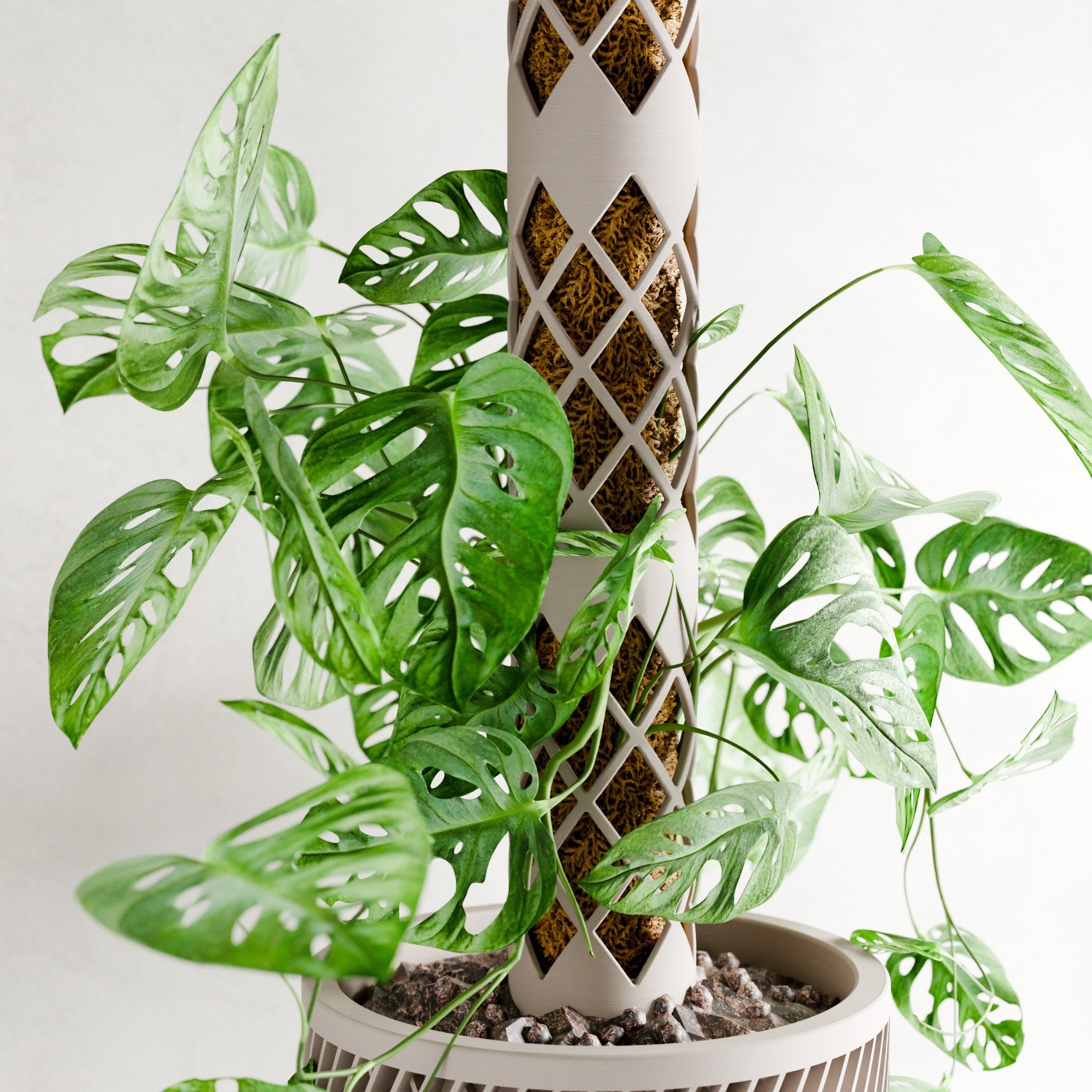 Moss Pole Modular from Modernized Pottery