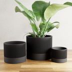 Sakura Planter from Modernized Pottery