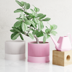 Sakura Planter from Modernized Pottery