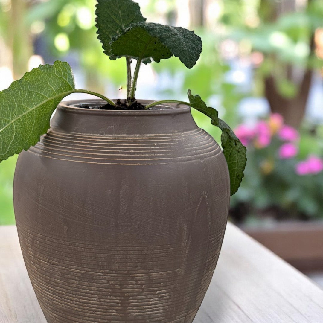 Heritage Classic Terracotta Vessel, Hand-Painted in Earthly Brown or Weathered Black, 7.8"D x 9.4"H