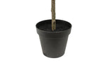 7' Artificial Slim Olive Tree