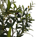 6.5' Faux Potted Olive Tree
