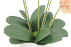 Artificial 4-Stem Phalaenopsis Orange Orchid