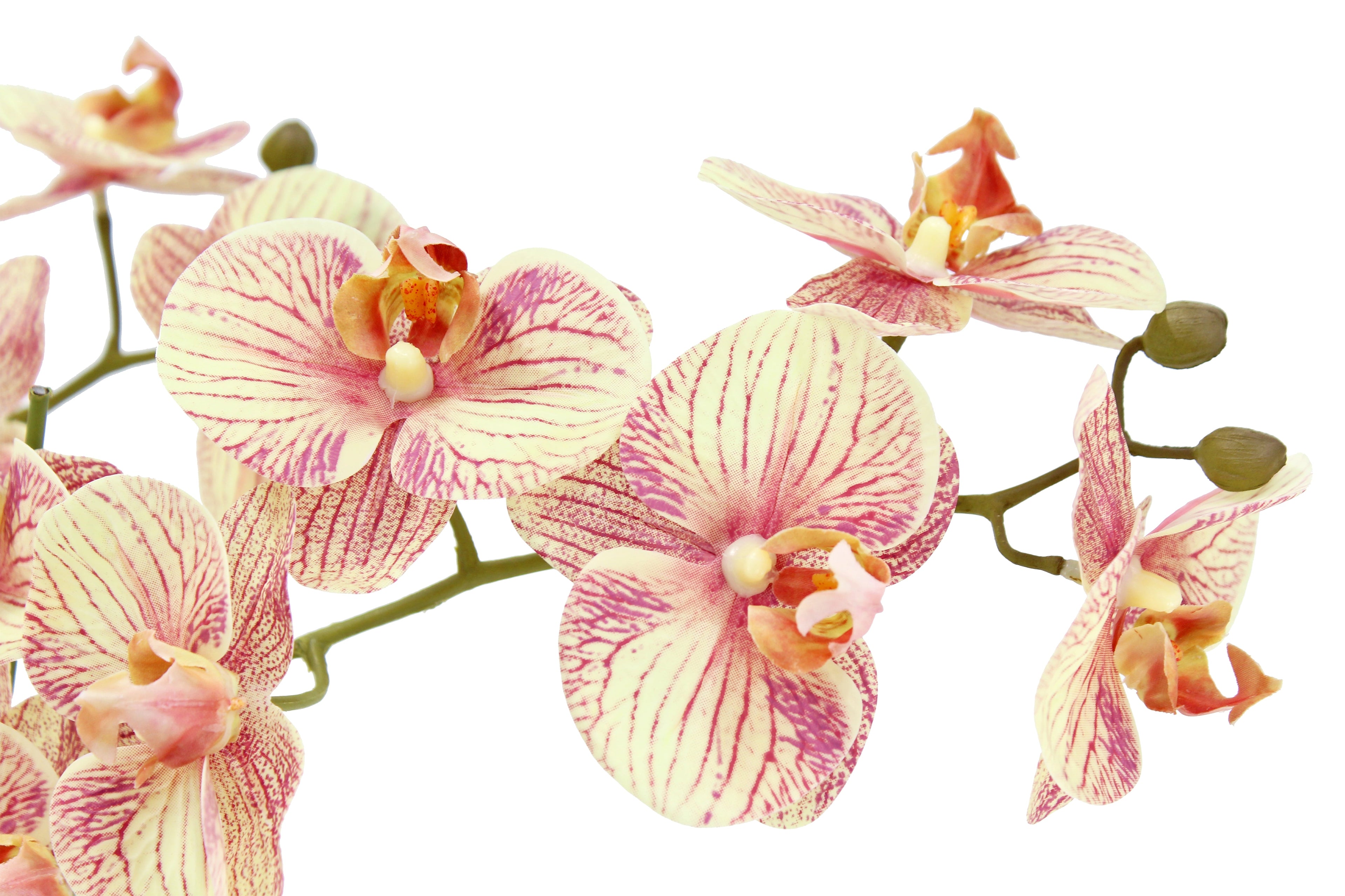 Artificial 4-Stem Phalaenopsis Orange Orchid