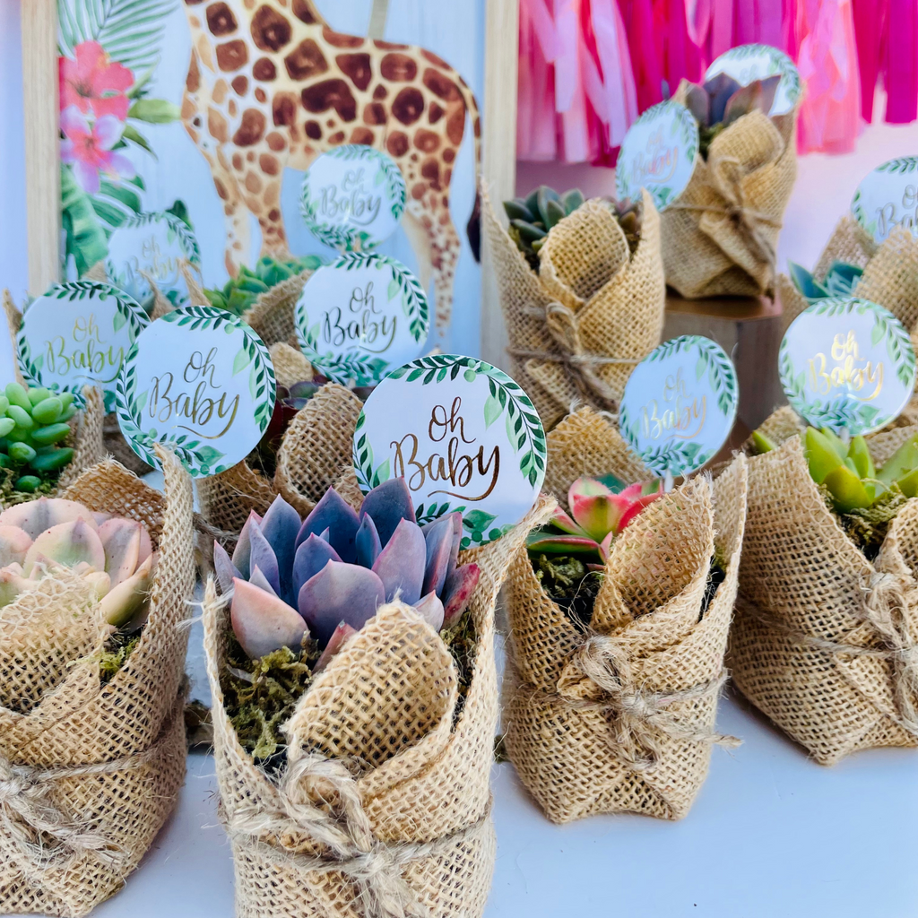 Succulent Favors in Burlap- Baby Shower Favors, Wedding and Party Favors