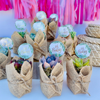 Succulent Favors in Burlap- Baby Shower Favors, Wedding and Party Favors