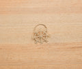 Coastal Ship Wheel Napkin Ring – 2.5” Handwoven Iraca Palm – Nautical Table Decor from Colombia