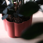 fluted ceramic planter by Misewell