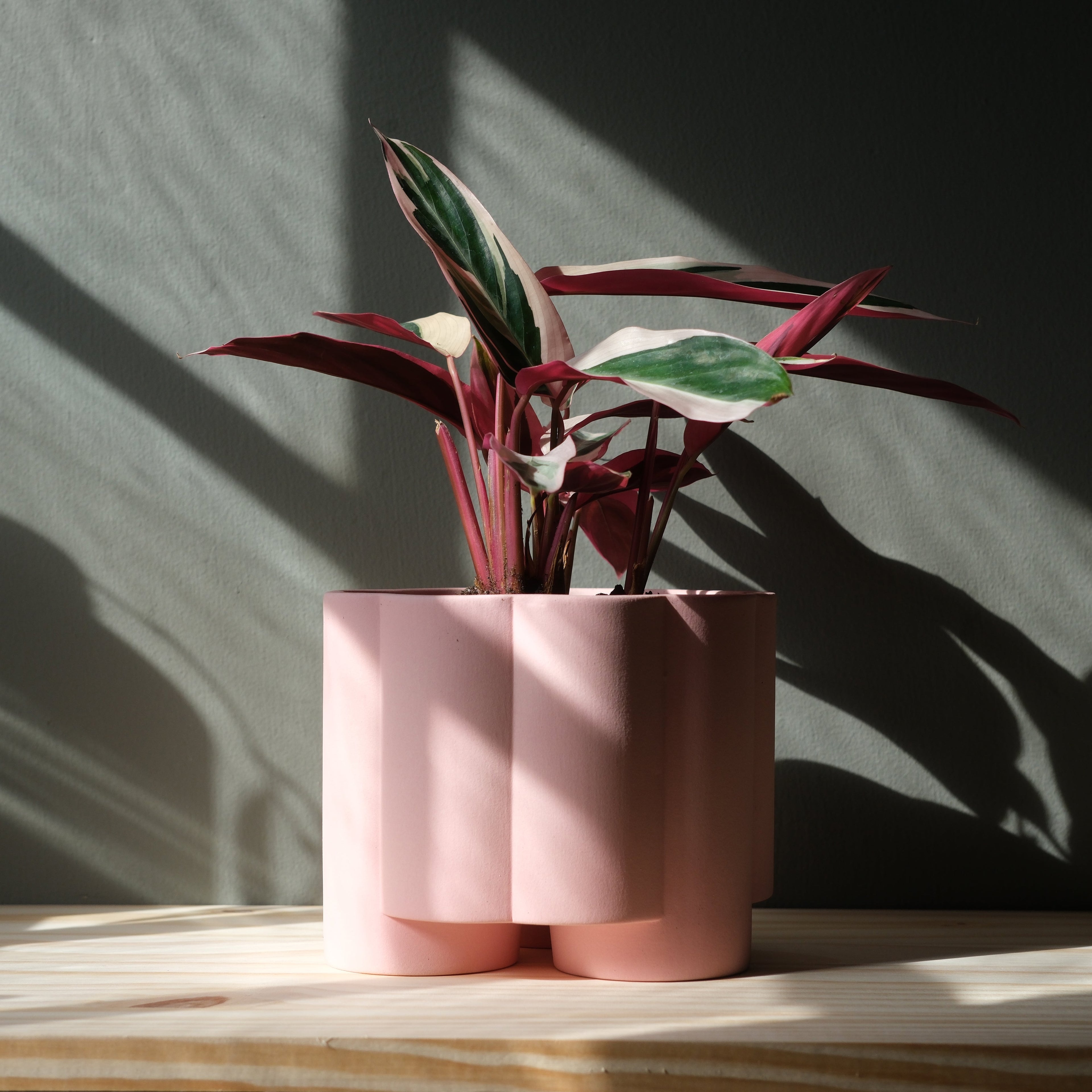 Pillar planter legs and drainage plate