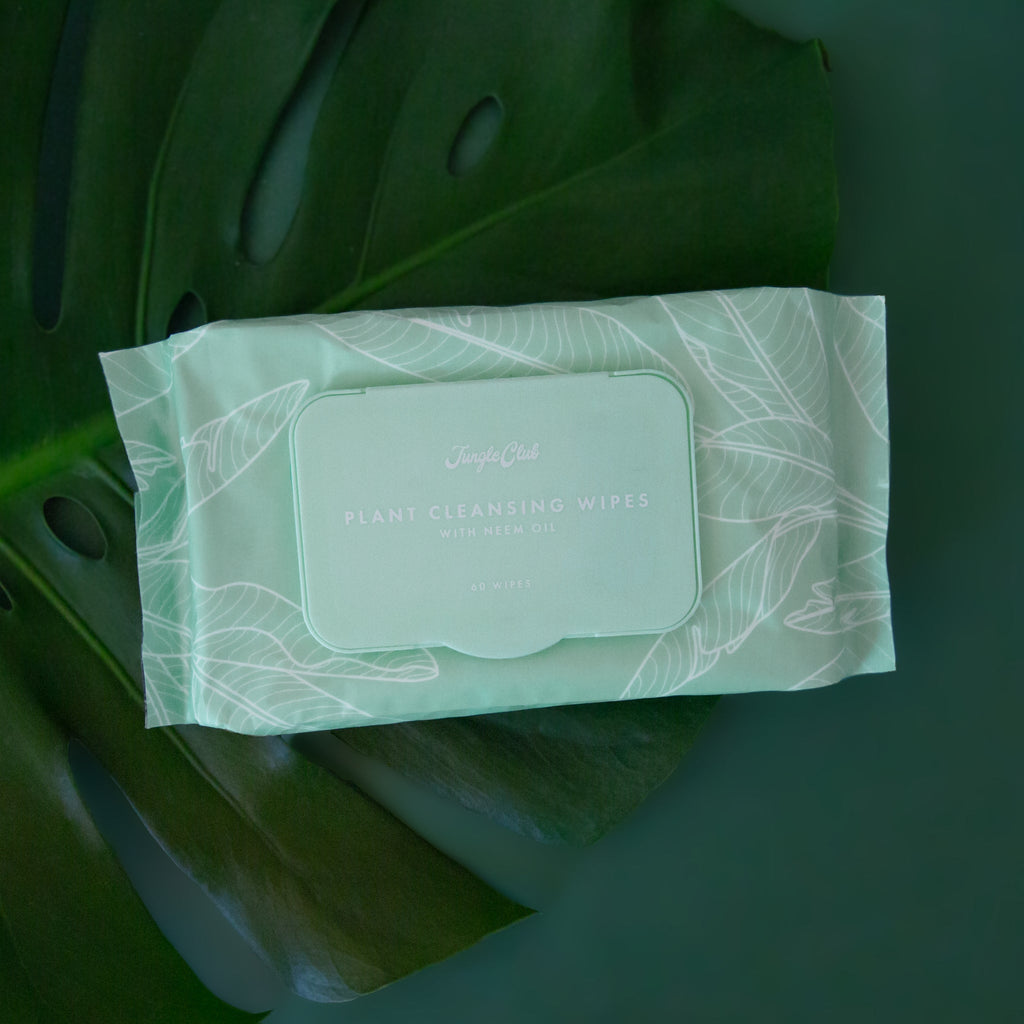 Plant Cleansing Wipes | Lagoon