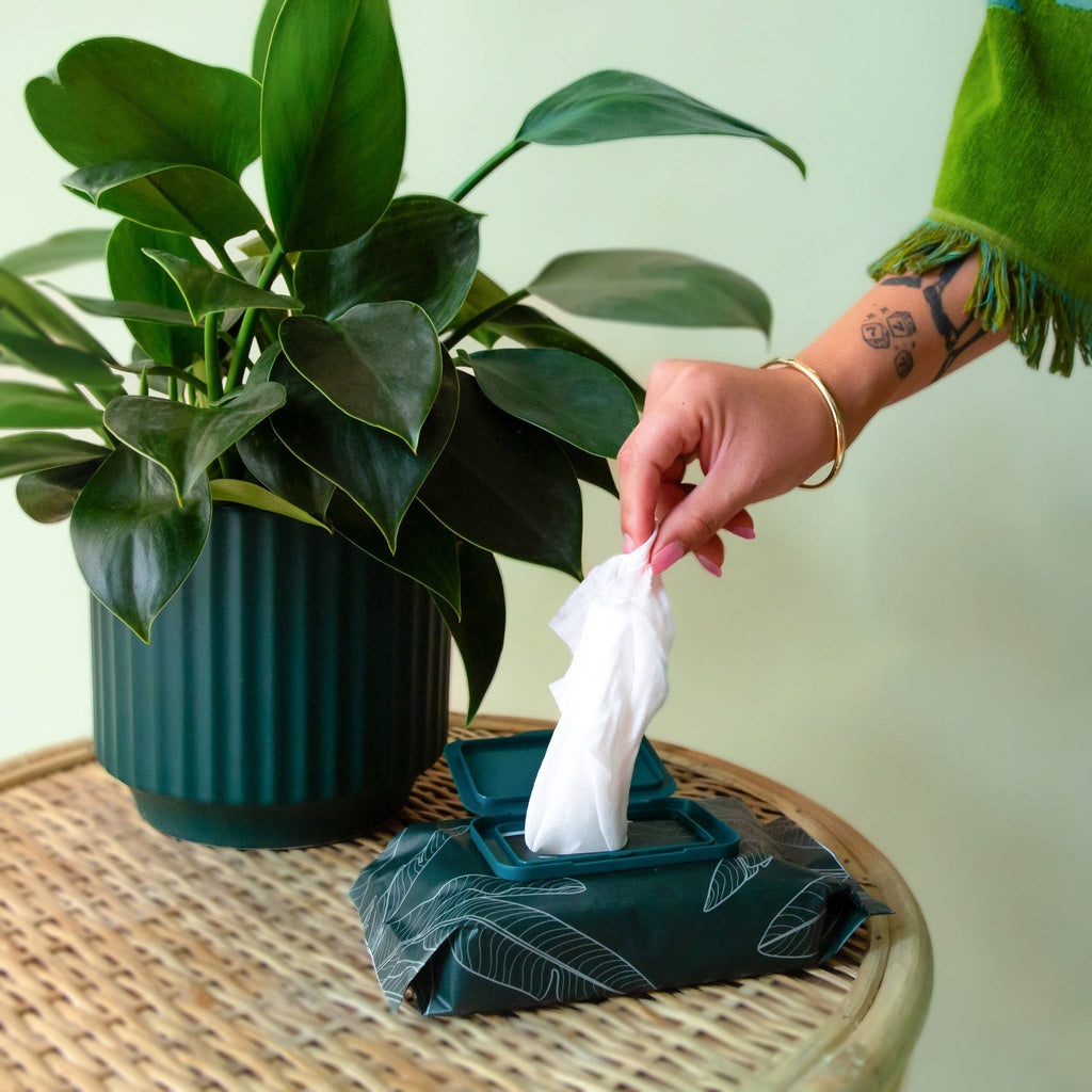 Plant Cleansing Wipes | Rainforest