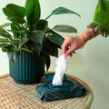 Plant Cleansing Wipes | Rainforest