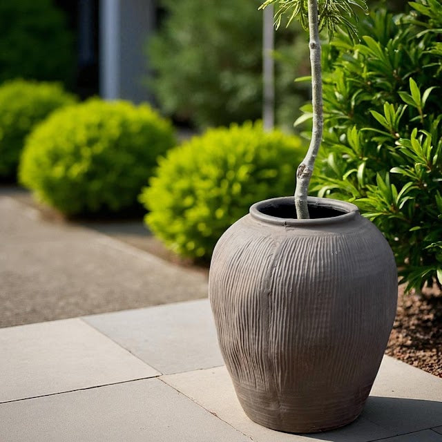 Pompeii Terranova, Fiber Clay Vessel in Antique Umber, Weathered Black or Aged Gray, 14.1"D x 15.7"H