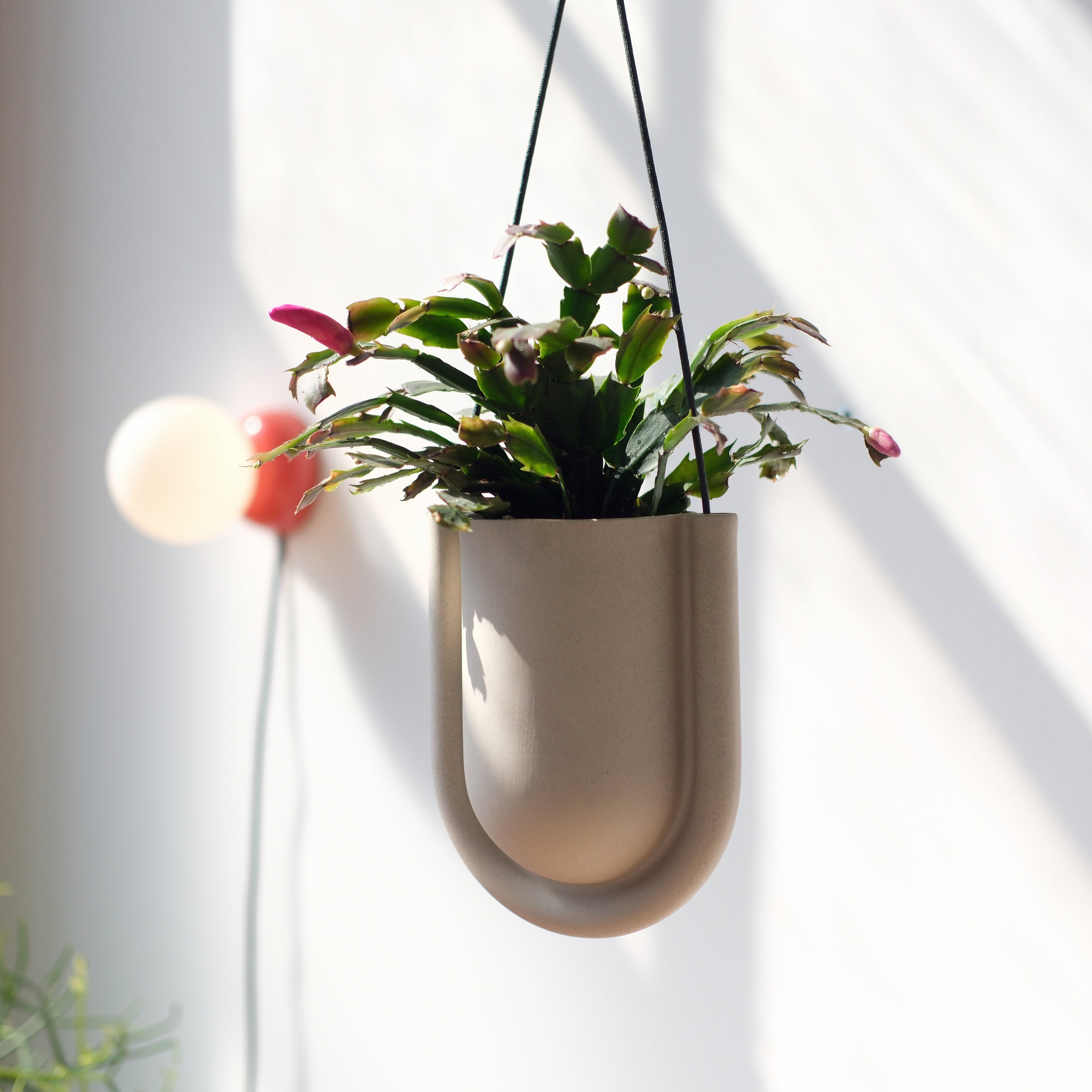 minimalist hanging planter by Misewell
