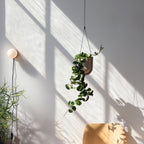 minimalist hanging planter by Misewell