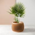 Honeycomb Planter from Modernized Pottery