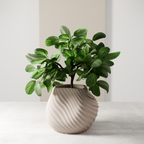 Sea Planter from Modernized Pottery
