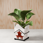 Chinese Takeout Planter from Modernized Pottery