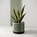 Heritage Planter from Modernized Pottery