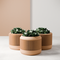 Bamboo Planter Set from Modernized Pottery