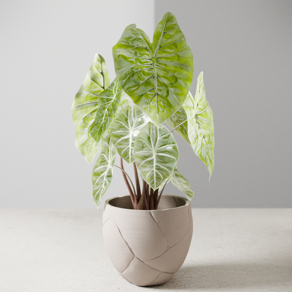 Quake Planter from Modernized Pottery