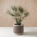 Weave Planter from Modernized Pottery