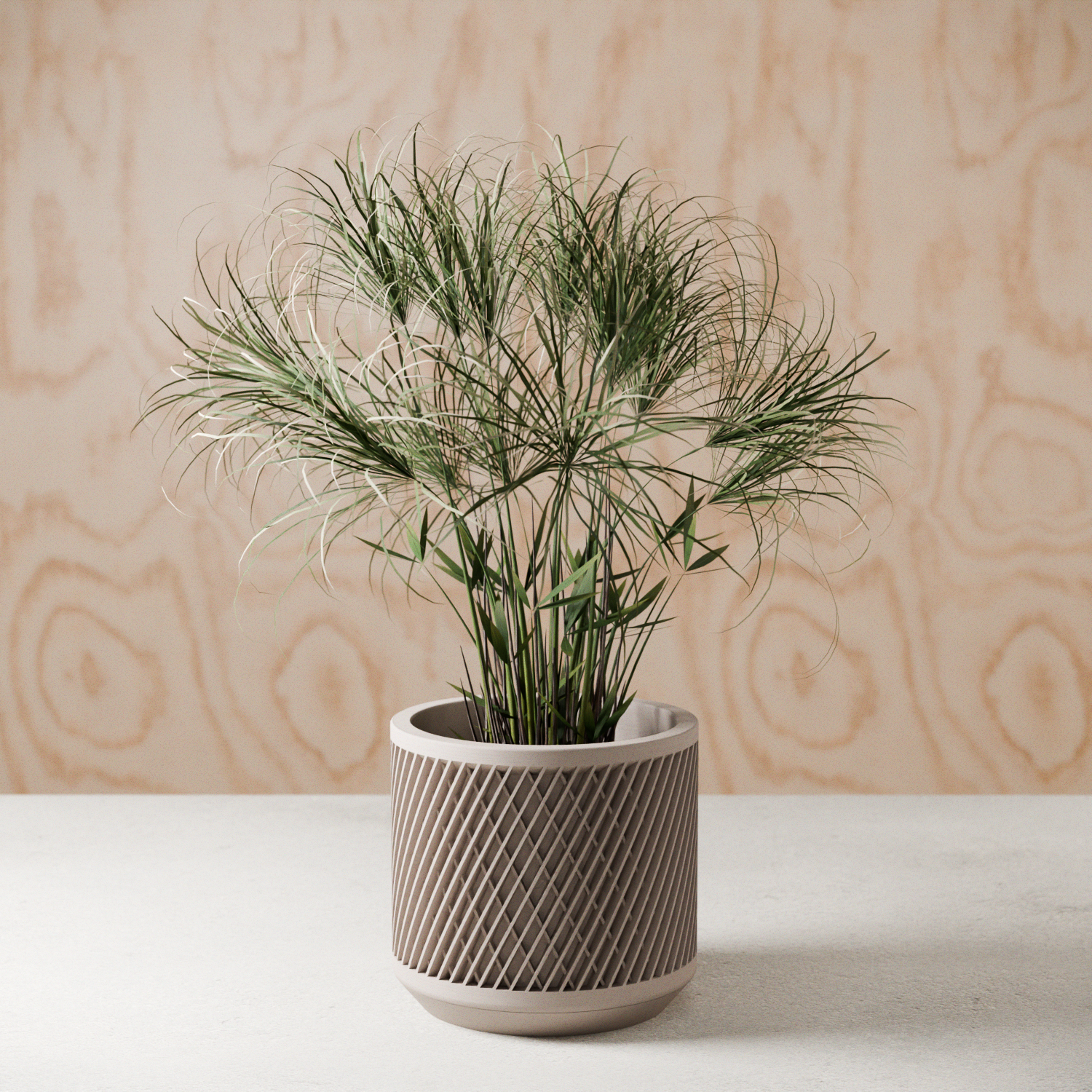 Weave Planter from Modernized Pottery