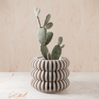 Triple Bubble Orchid Planter from Modernized Pottery