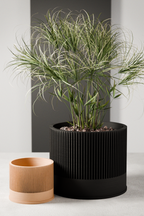 Sakura Planter from Modernized Pottery