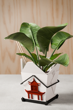 Chinese Takeout Planter from Modernized Pottery