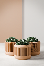 Bamboo Planter Set from Modernized Pottery