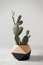 Ico Planter from Modernized Pottery