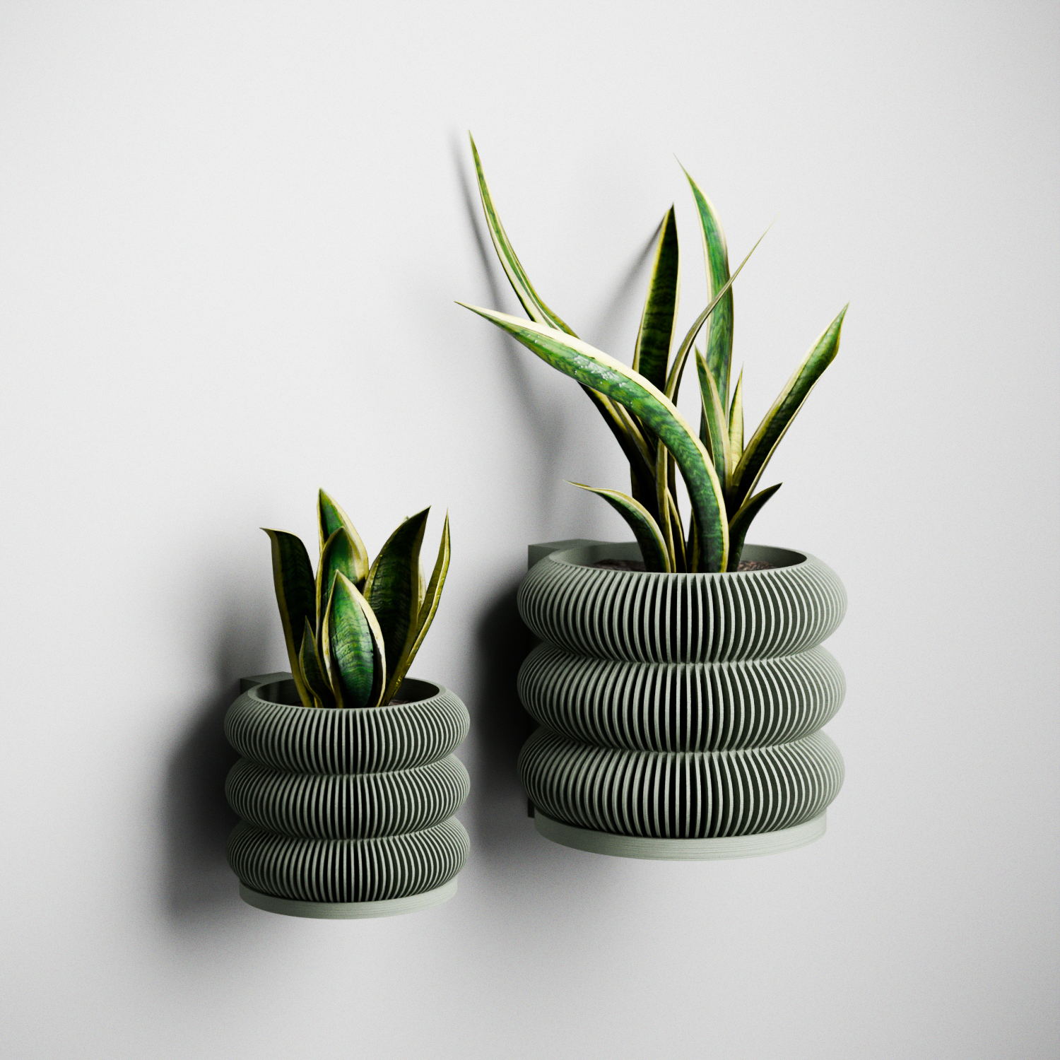 Wall Planter - Triple Bubbles Planter from Modernized Pottery
