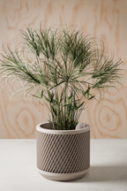 Weave Planter from Modernized Pottery