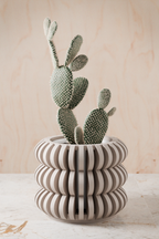 Triple Bubble Orchid Planter from Modernized Pottery