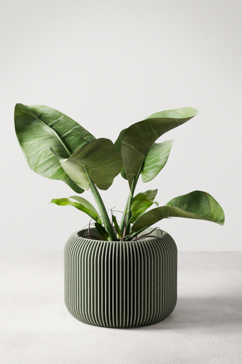 Orbis Planter from Modernized Pottery
