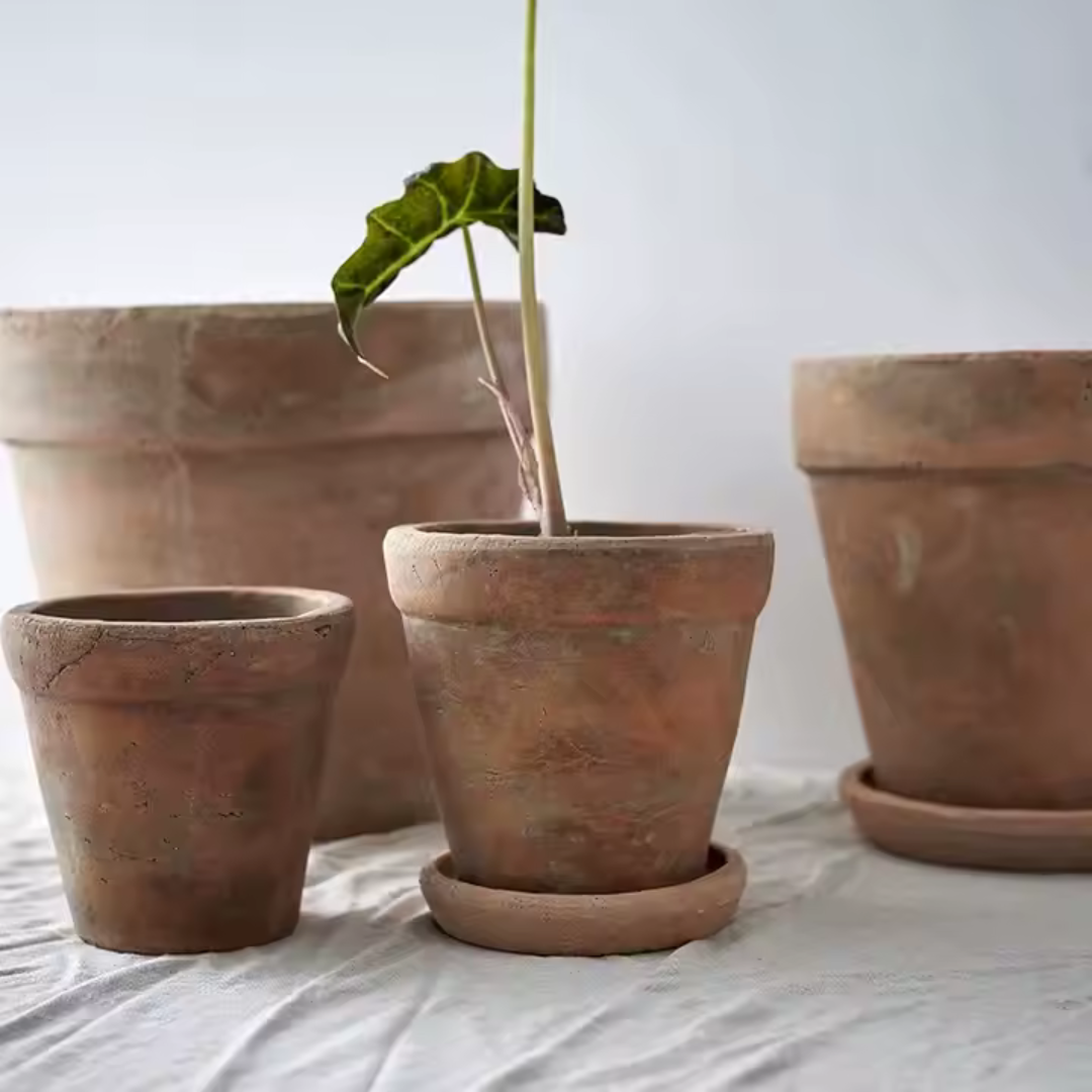 Venice Cement Planter with Dish and Drainage Hole, Handcrafted in Aged Terracotta, Large & Medium