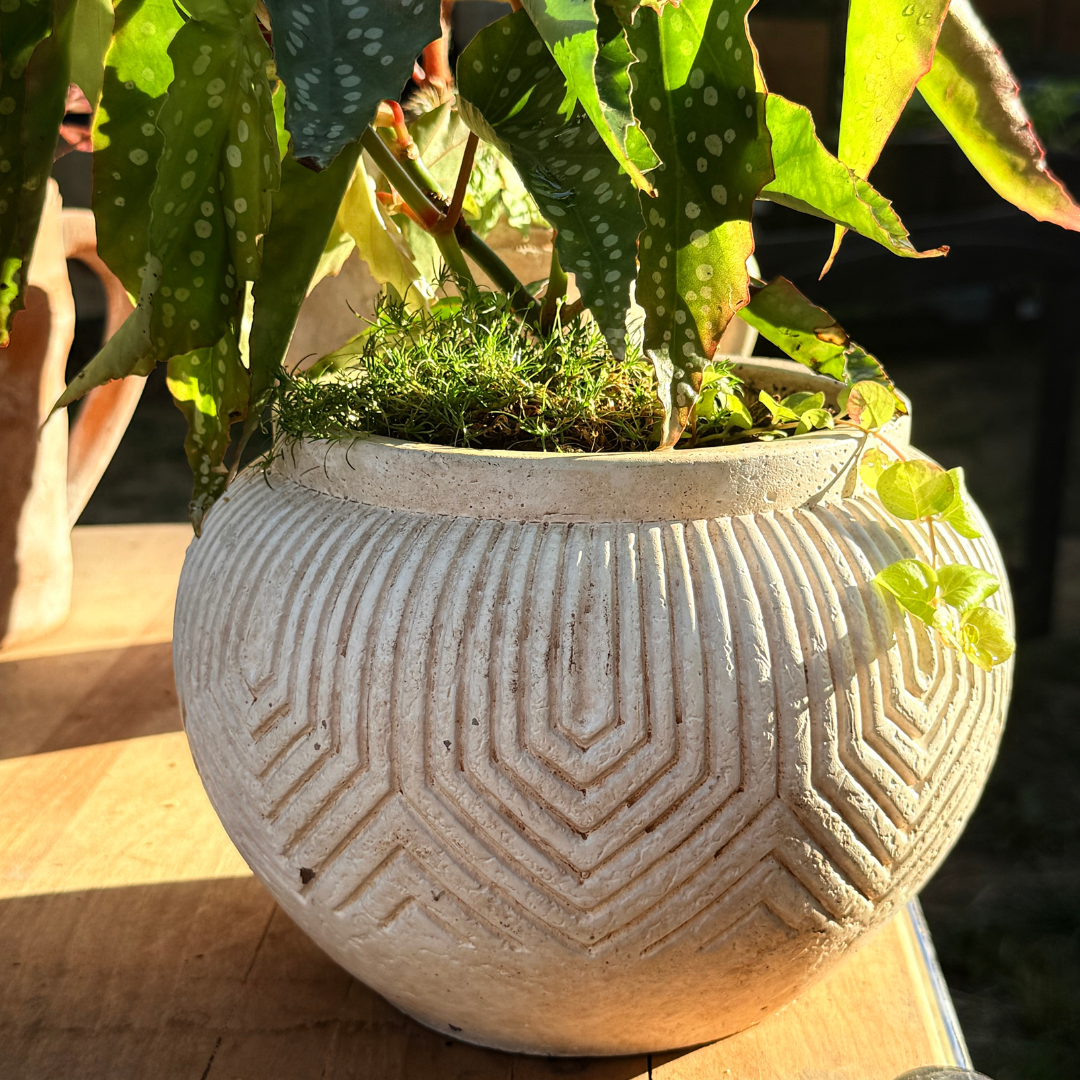 Linden Concrete Vessel Natural Sandstone or Rustic Umber, 8"D X 6"H