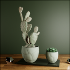 Quake Planter from Modernized Pottery