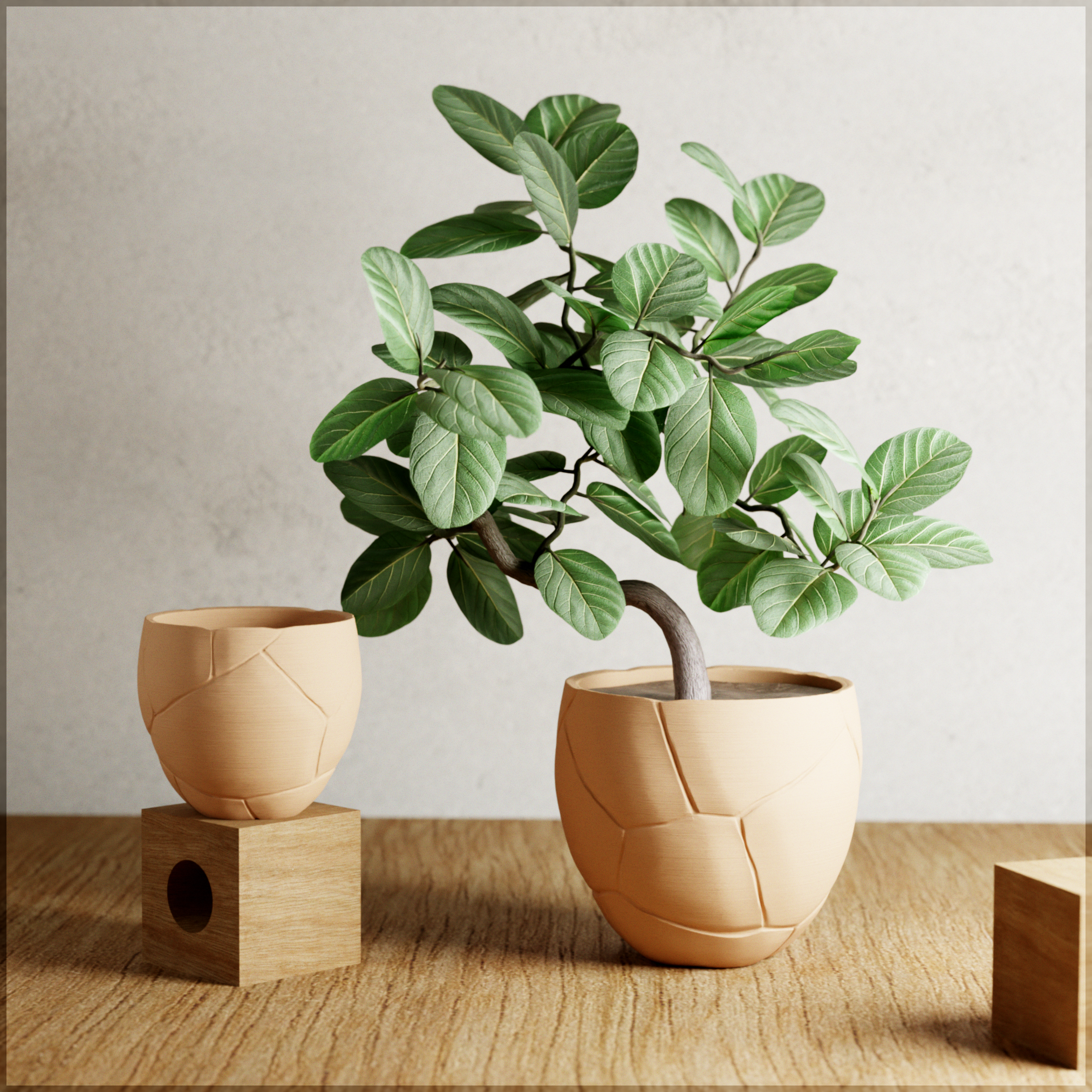 Quake Planter from Modernized Pottery