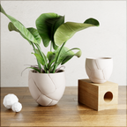 Quake Planter from Modernized Pottery