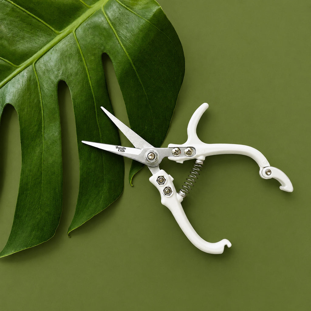 Pruning Shears | White