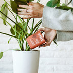 Organic Soil & Root Boost