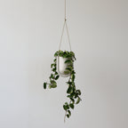 Portico planter in white matte glaze