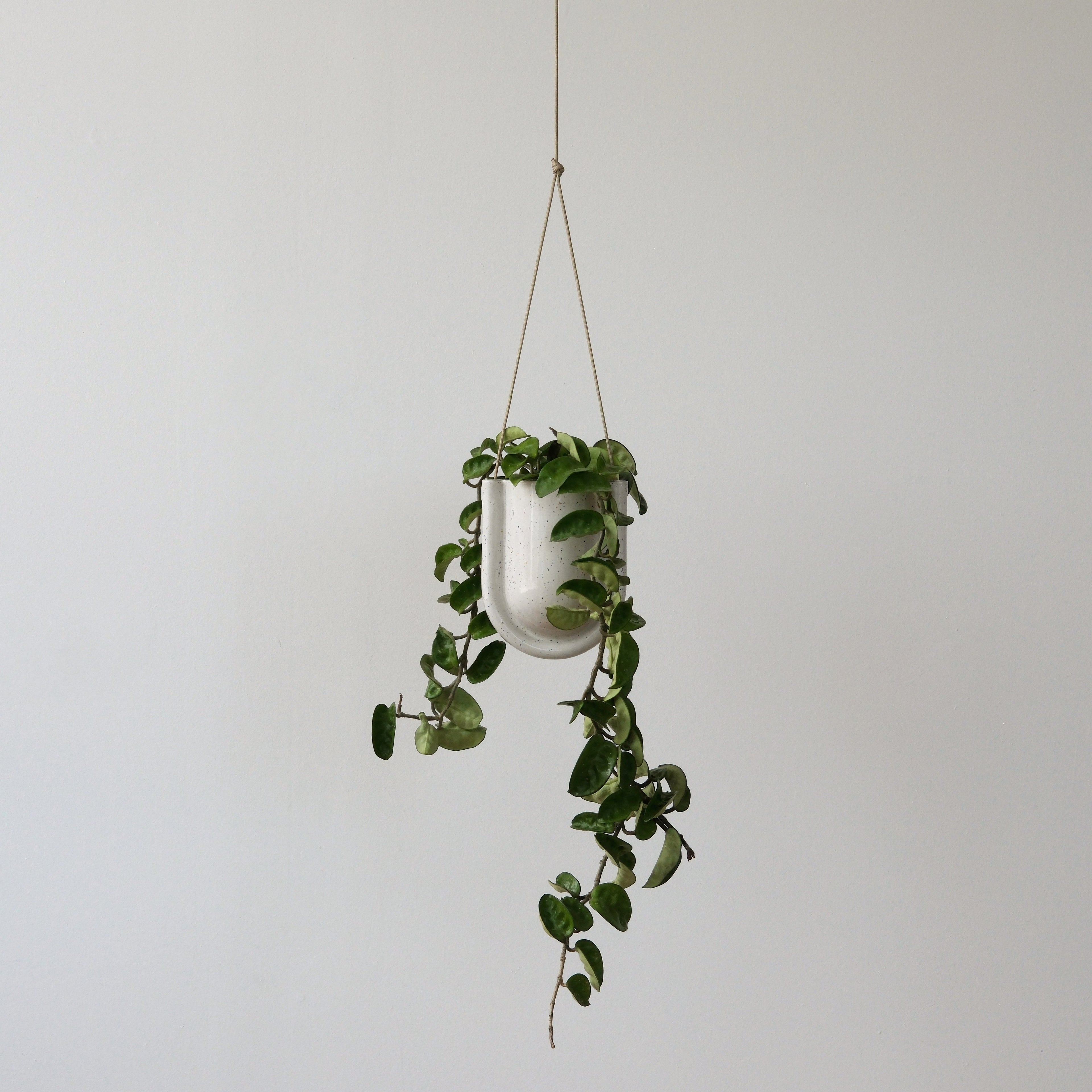 Portico planter in white matte glaze
