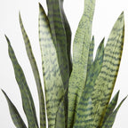Artificial Snake Plant with Artisan Planter