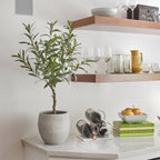 Artificial Olive Topiary Tree with Mediterranean Pot